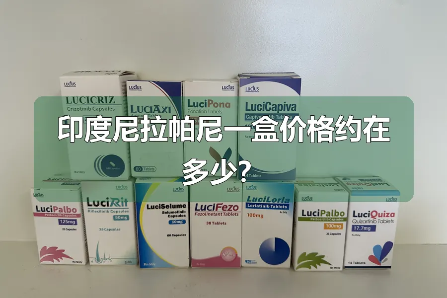 印度尼拉帕尼一盒价格约在多少?