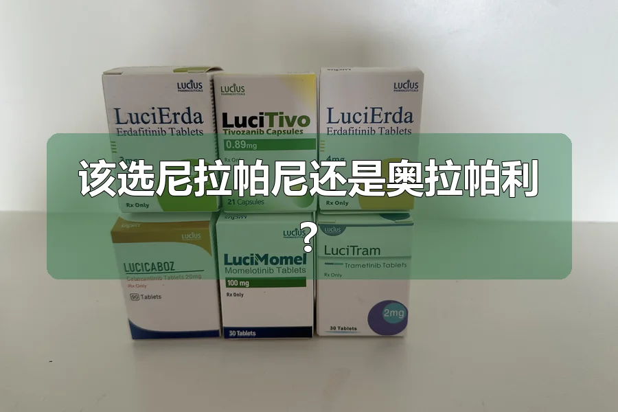 该选尼拉帕尼还是奥拉帕利?