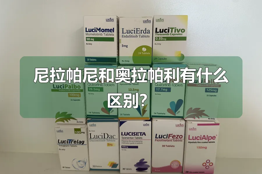 尼拉帕尼和奥拉帕利有什么区别？